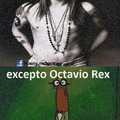 Octavio rex es hermoso
