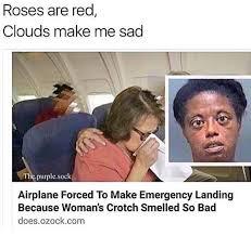 Roses are red... - meme