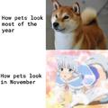 Awoo master-sama