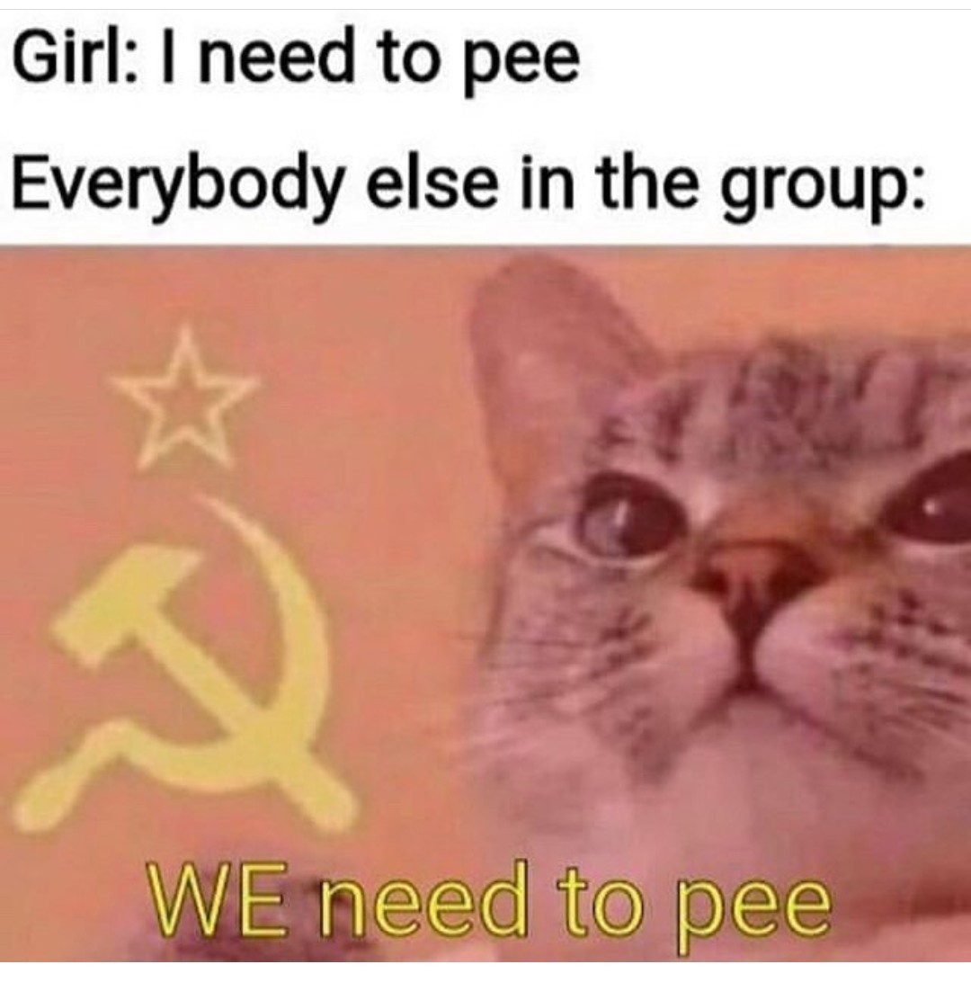 Capitalist cat - meme