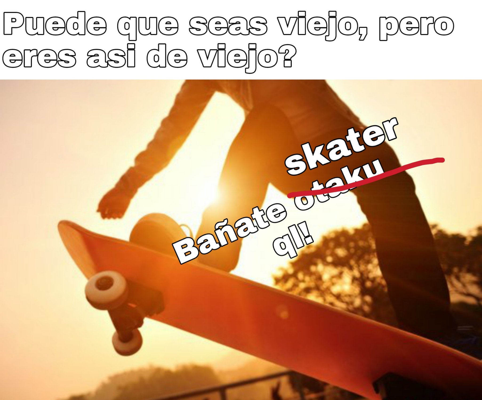 Skater > Otaku - meme