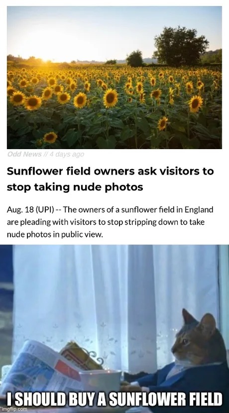 Sunflower filed owners ask visitors to stop takinng nude photos - meme