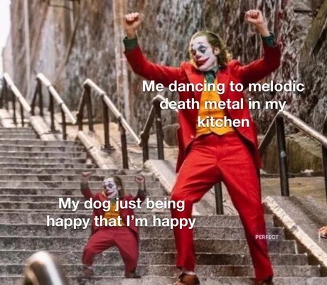 I should get a dog - meme