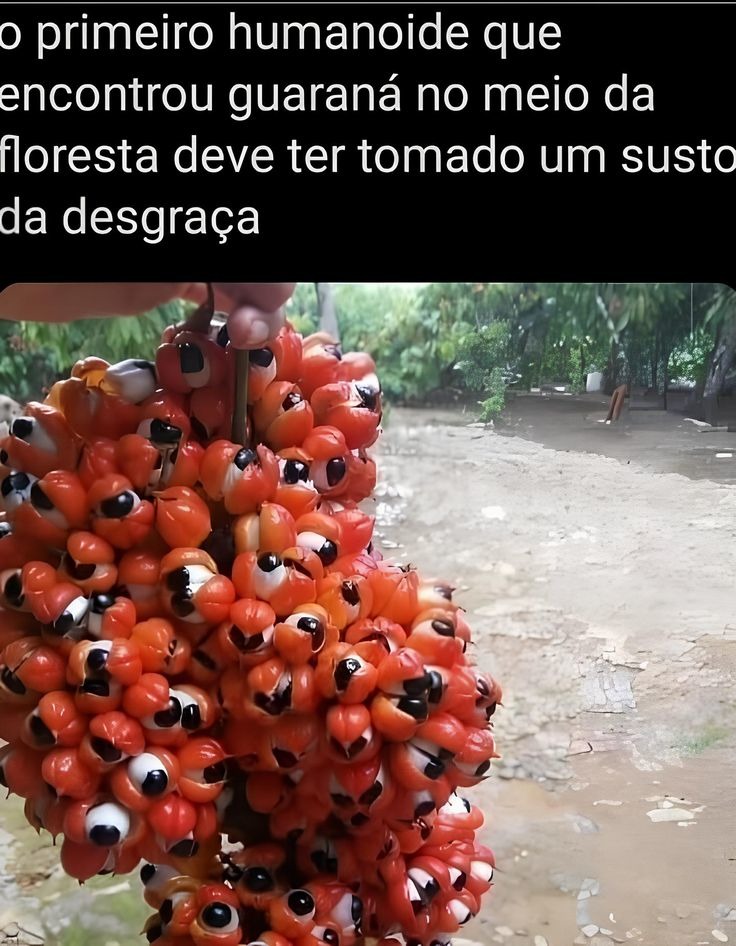 Guaraná - meme