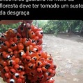 commented item thumbnail