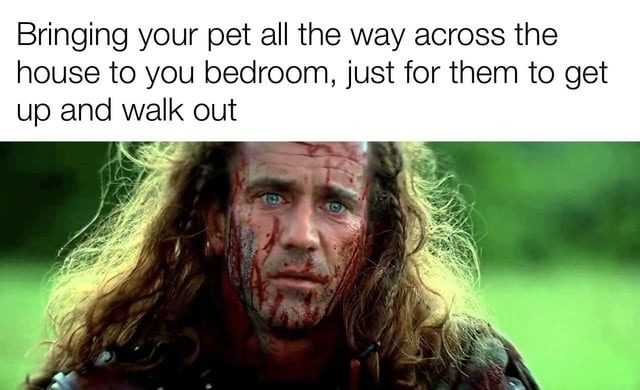 Bring them all the way to your room just for betrayal - meme