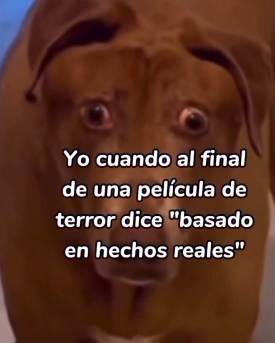 Cuando la peli termina con 'basado en hechos reales' y ya no quiero dormir - meme