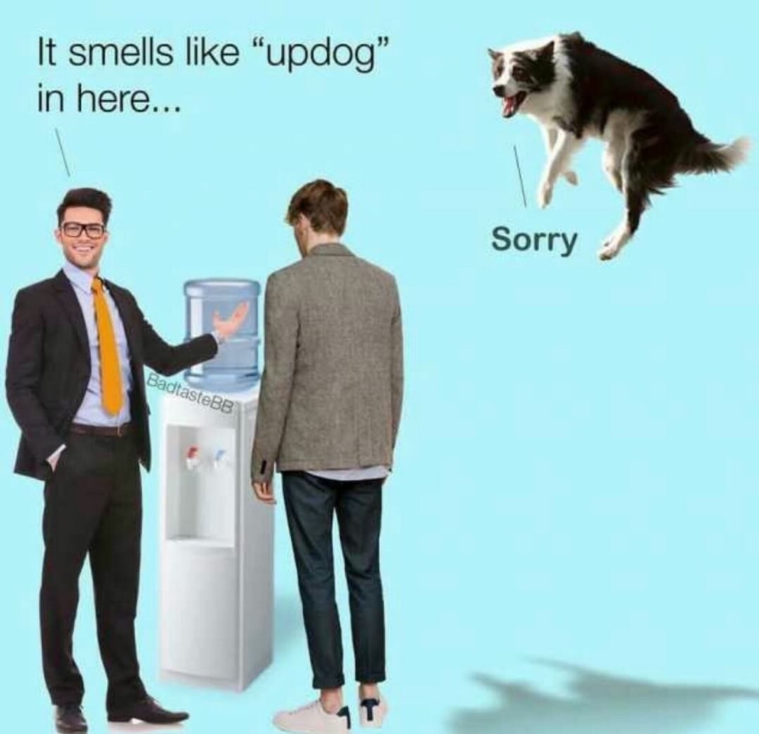 Up dog - meme