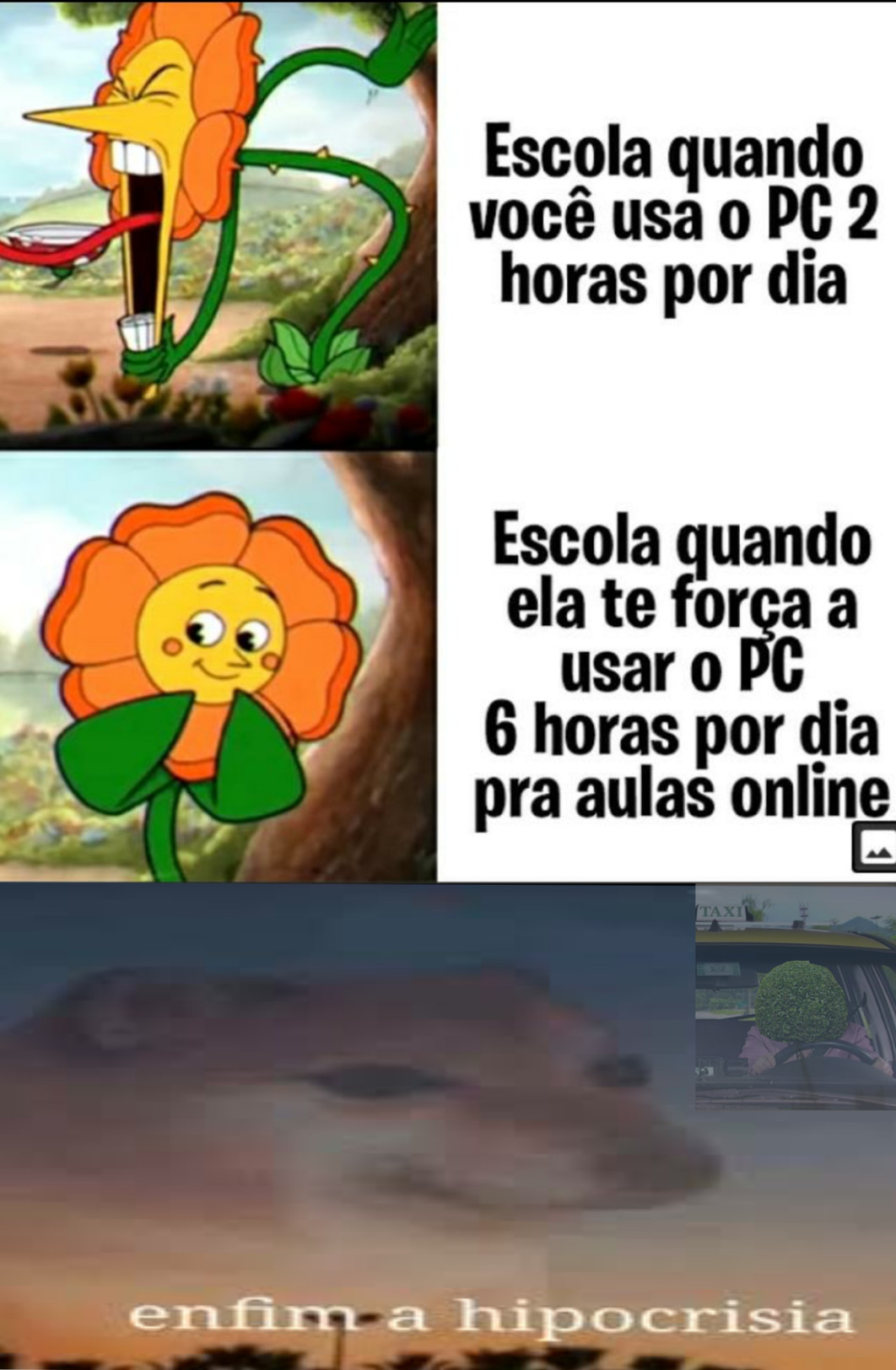 Aula Online é uma porcaria - meme