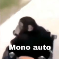 Mono auto