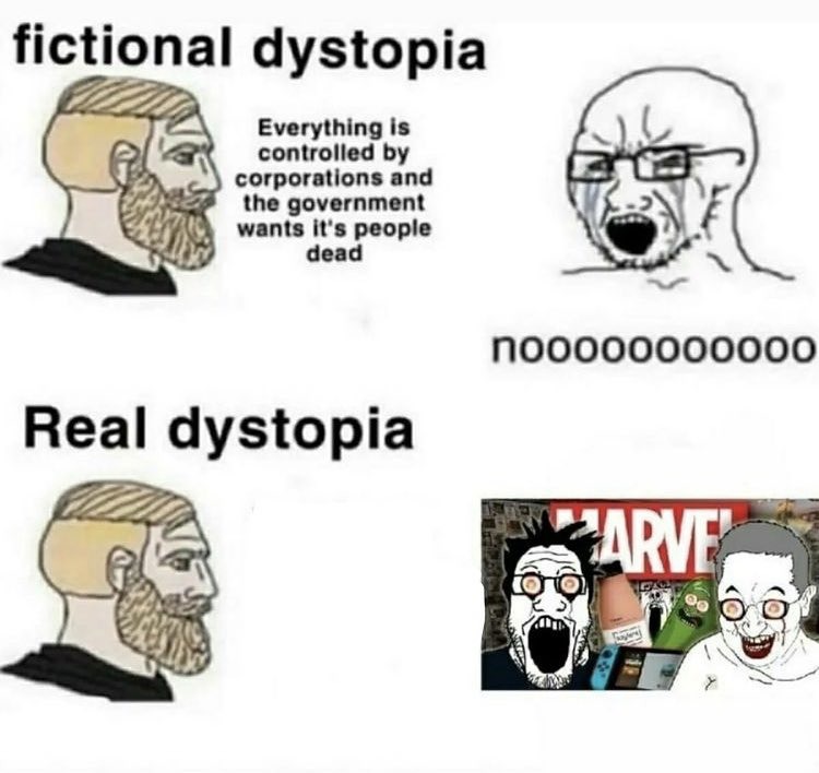 dongs in a dystopia - meme