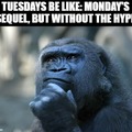 Tuesdays be like meme