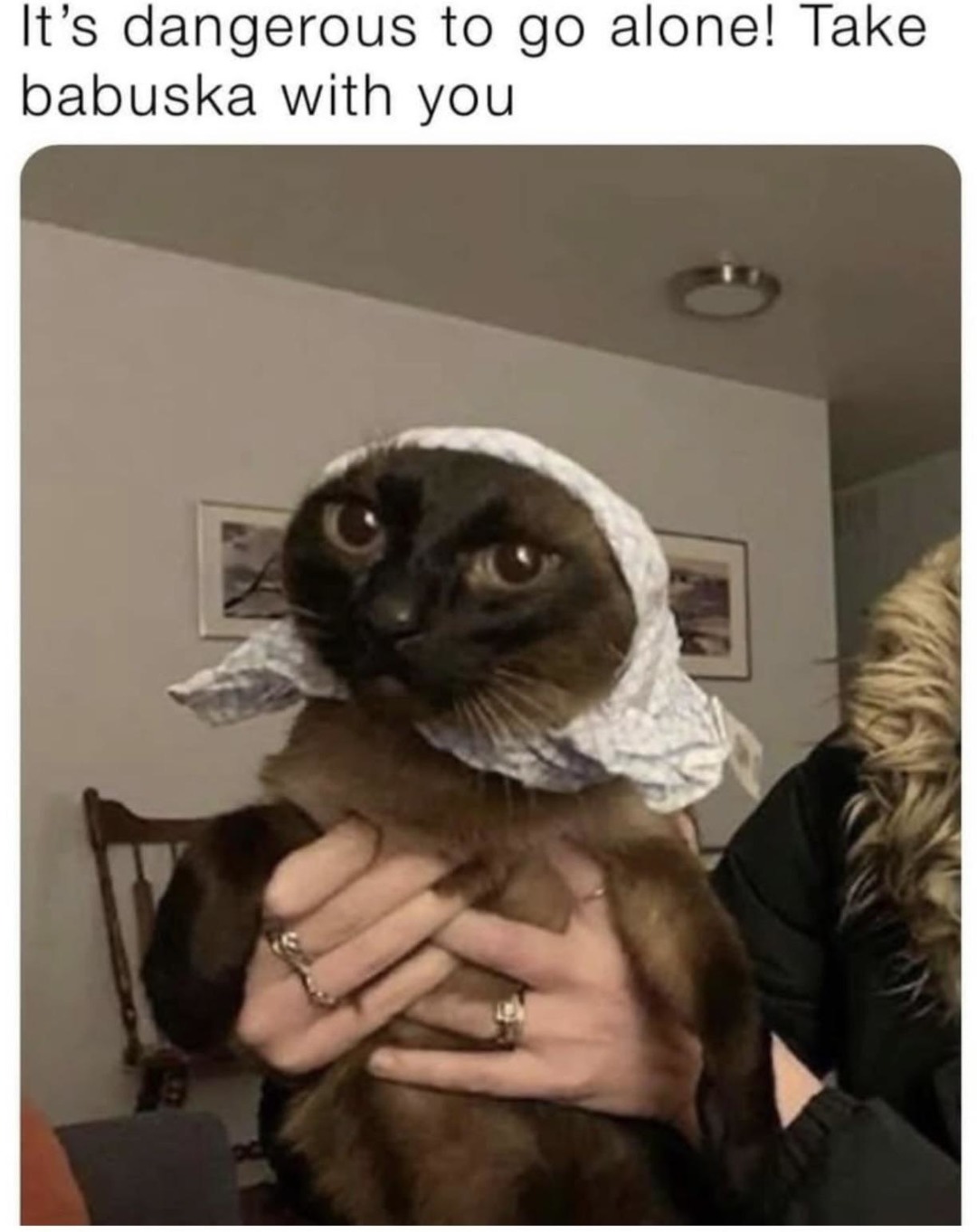 It's dangerous to go alone. Take Grandma! - meme