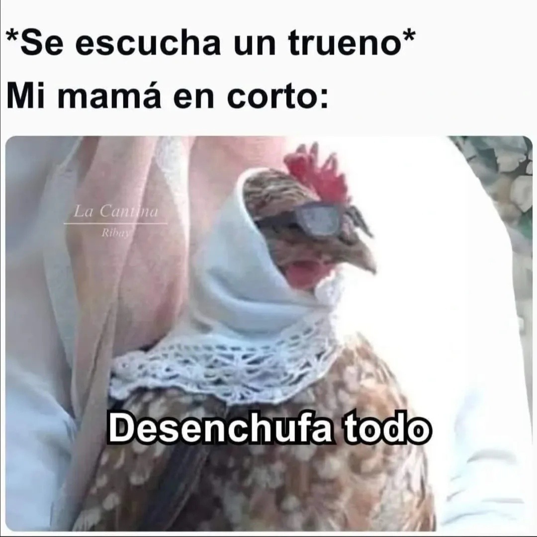 Se escucha un trueno y mi mamá ya desenchufó hasta el refri - meme