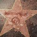 Trump's star in Hollywood!