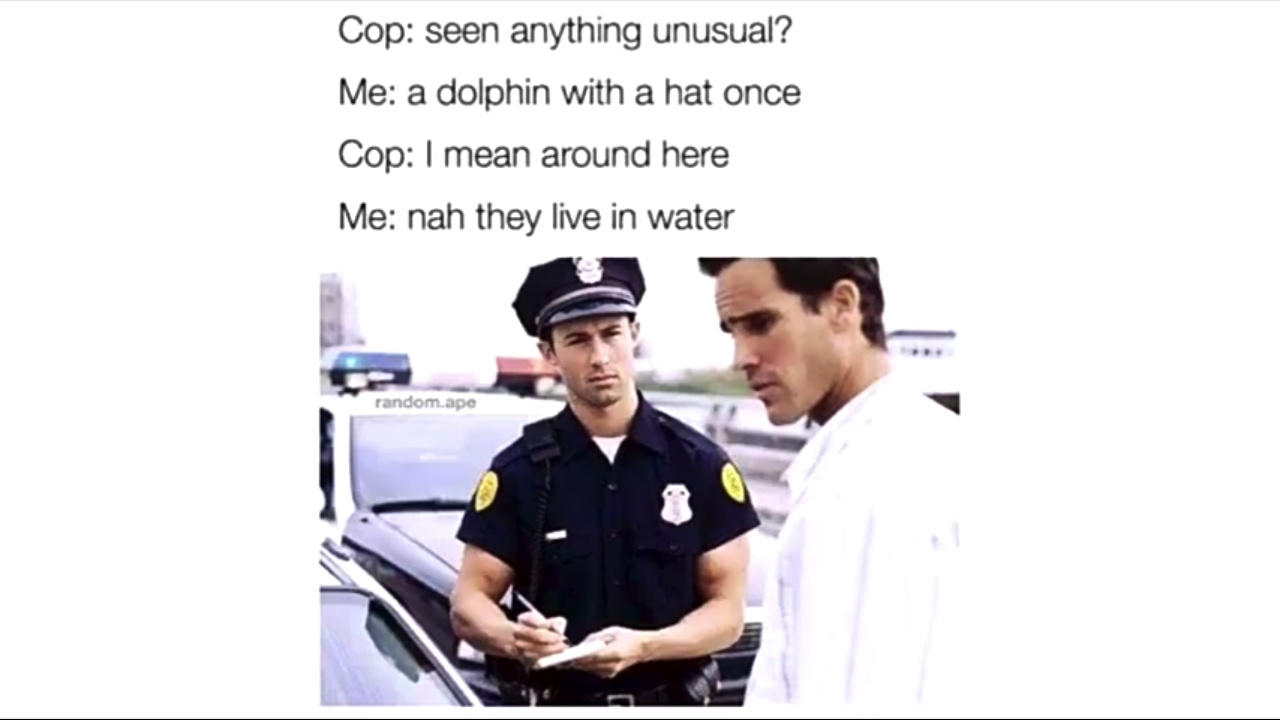 Who here has the balls to fuck with a cop like this? - meme