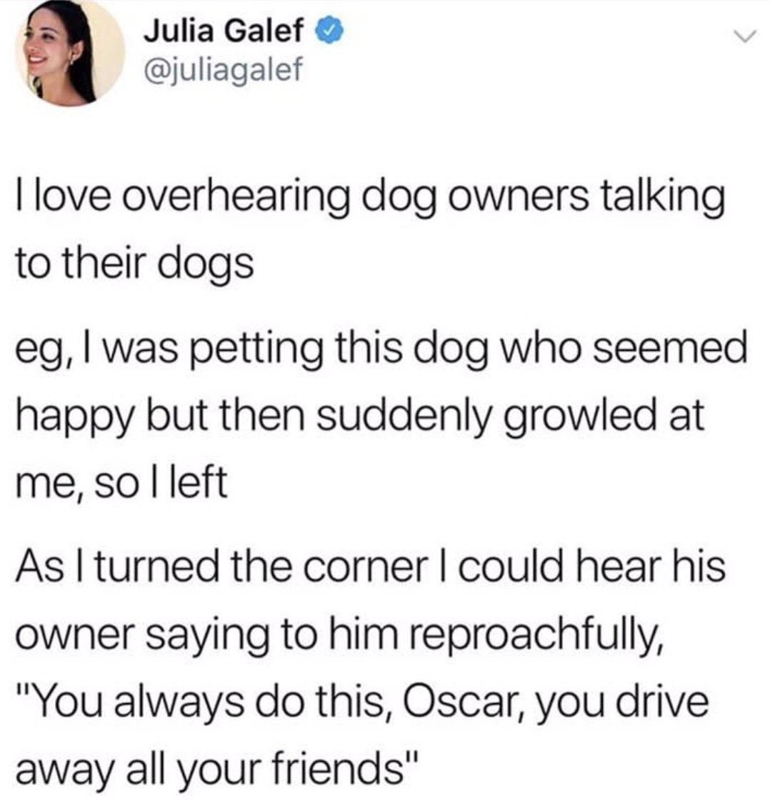 Owner of doggo - meme