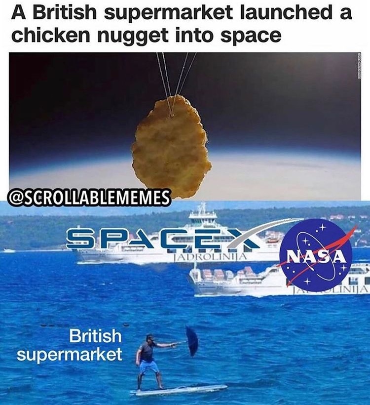 space nugget - meme