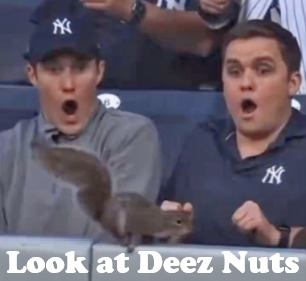 Deez Nuts - meme