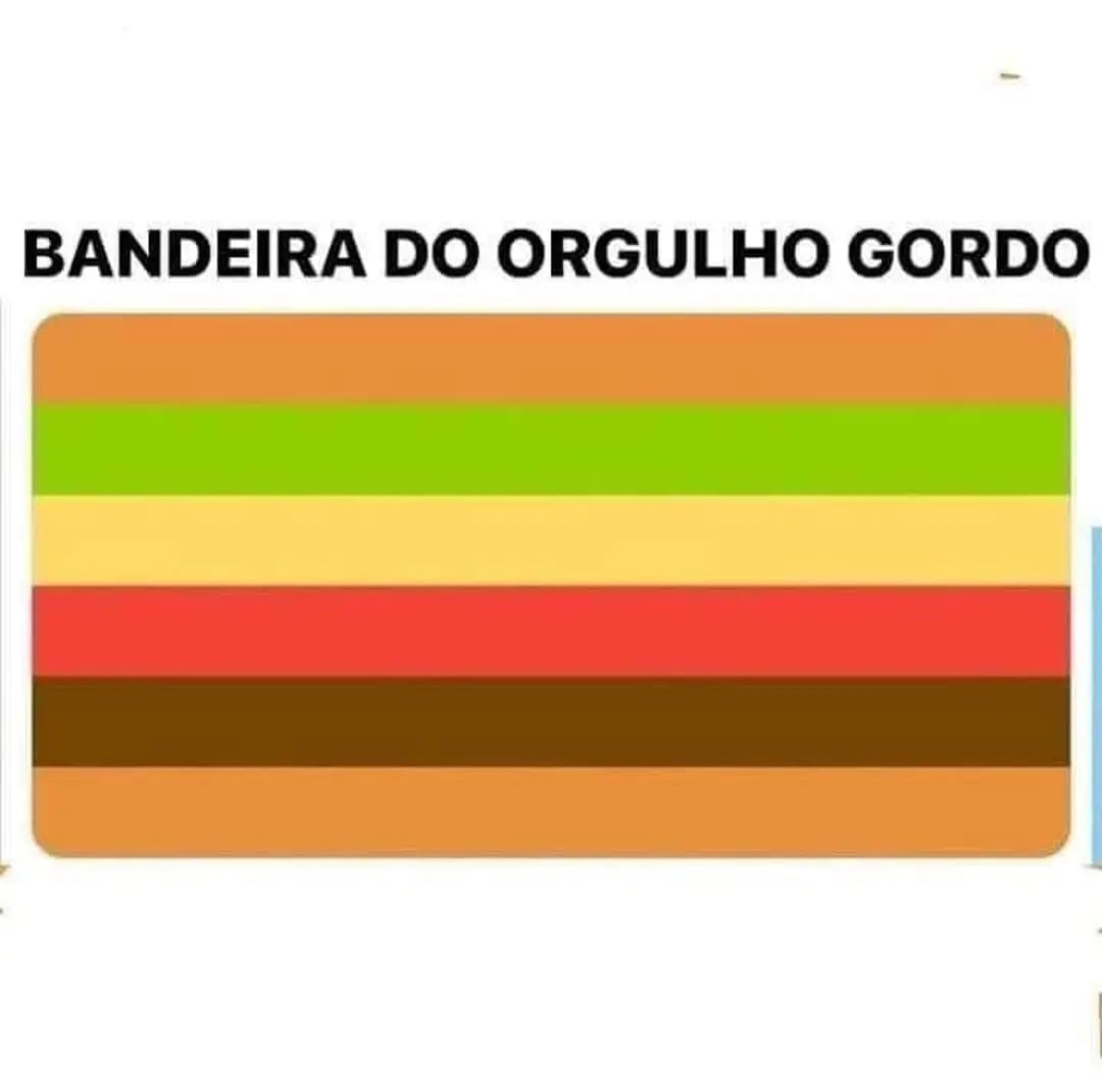 Orgulho Gordo - meme