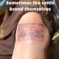 commented item thumbnail
