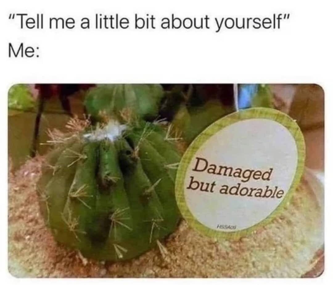 Tell me about yourself: Adorably broken - meme