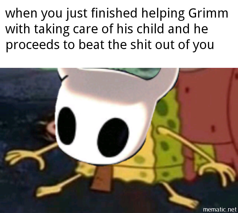 Hollow knight has been my best purchase yet - meme