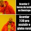 Globo rural