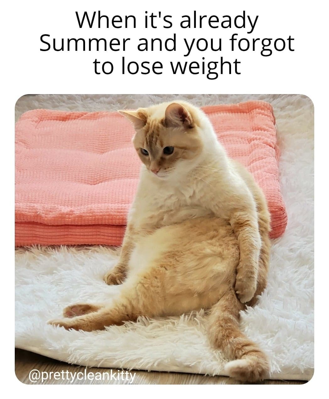 Not Summer Ready - meme