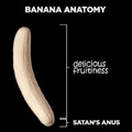 Banana anatomy