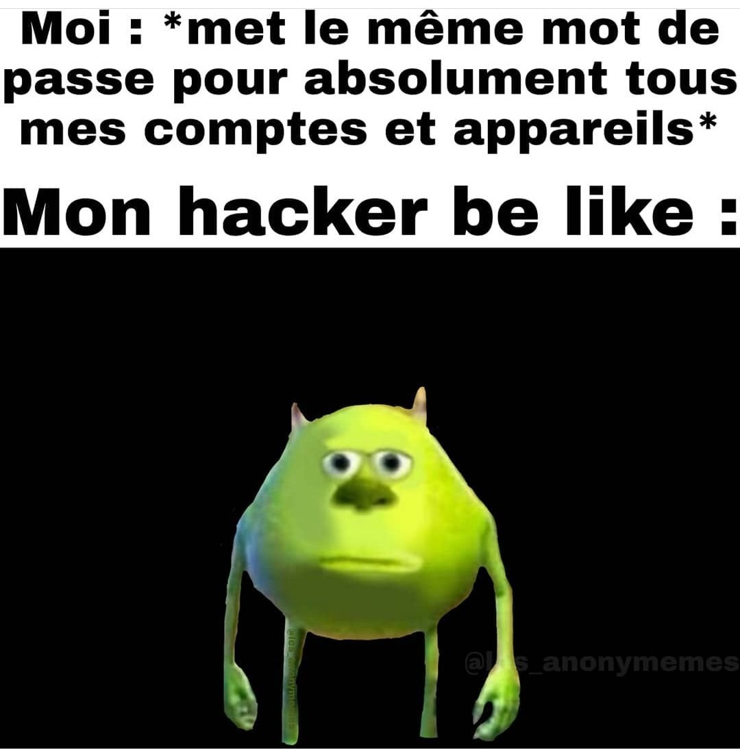 Mon hacker be like - meme