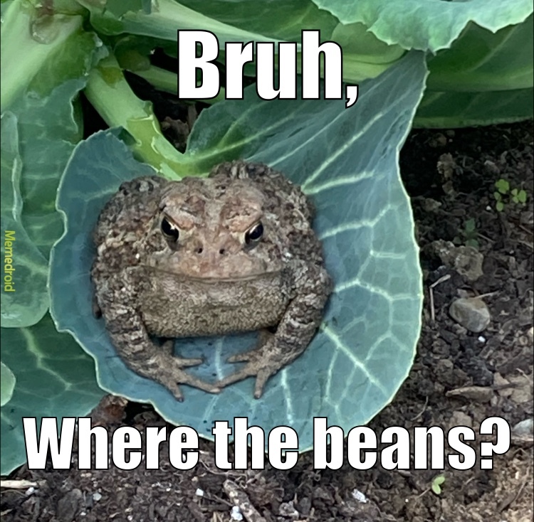 bruh toad - meme