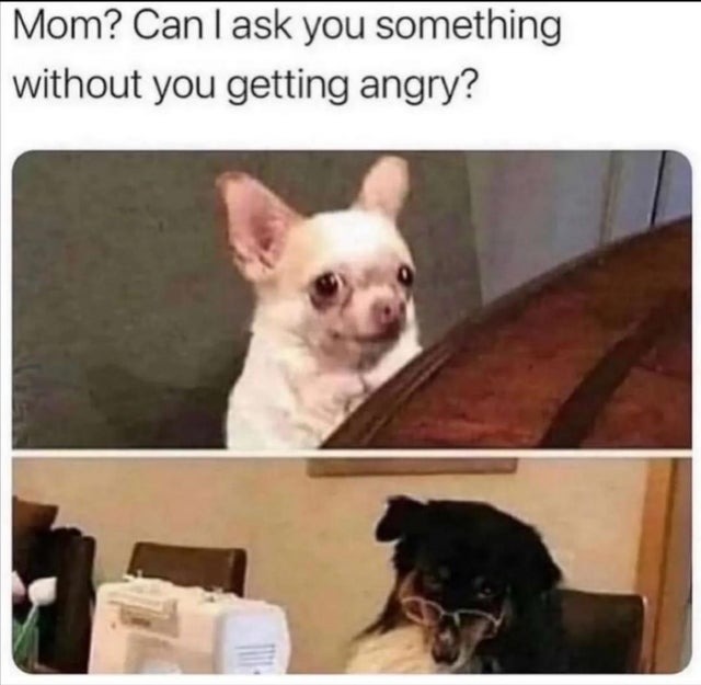 Mom? - meme