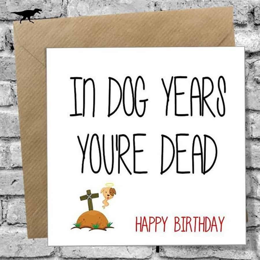Happy birthday meme for the dog lovers