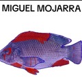 Miguel Mojarra