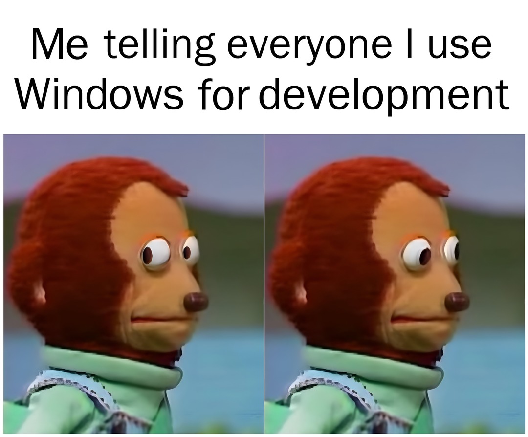 Me telling everyone I use Windows for development - meme