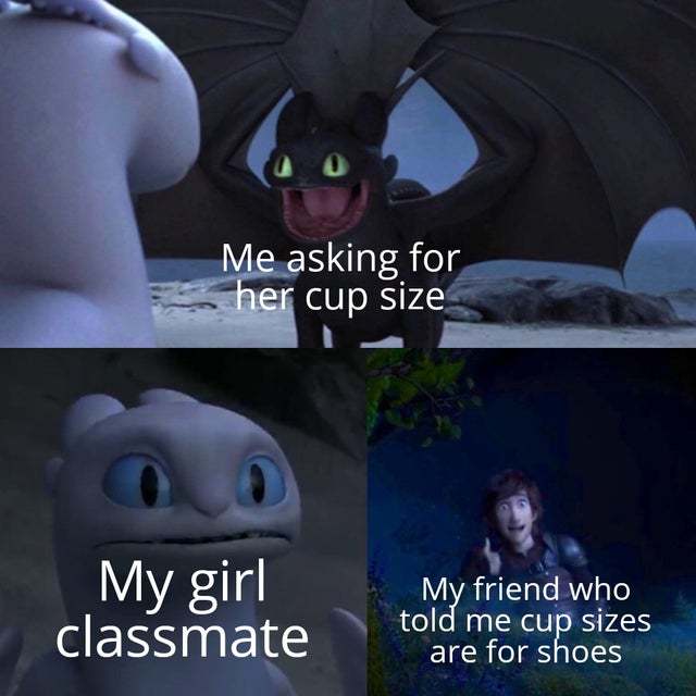 What's your cup size? - meme