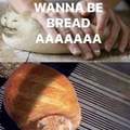 Gato pan