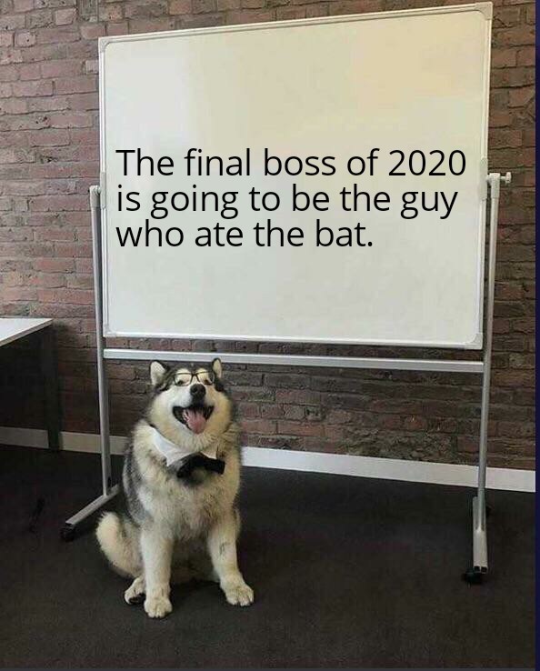 Final Boss of 2020 - meme