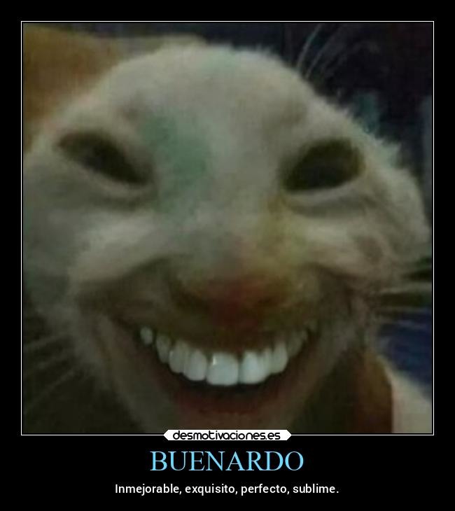 BUENARDO - meme