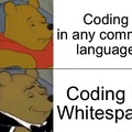 Whitspace: An esoteric language utilizing only the space, tab, and new line characters, producing invisible code.