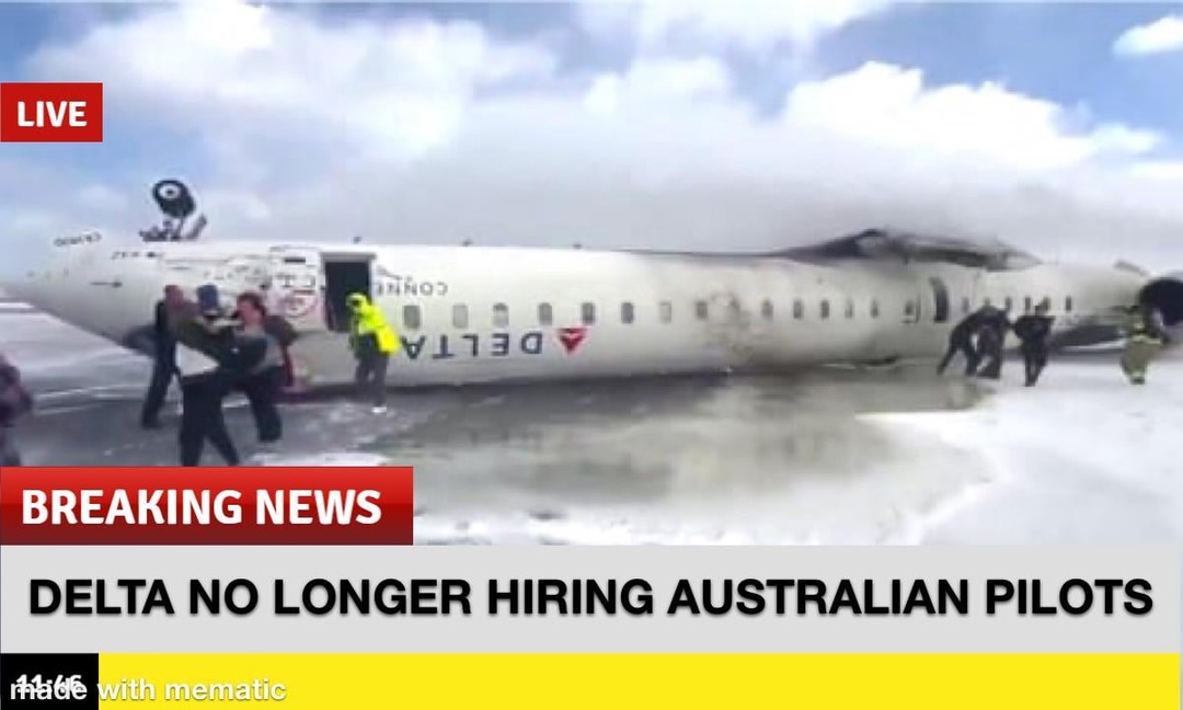 Delta plane crash meme news