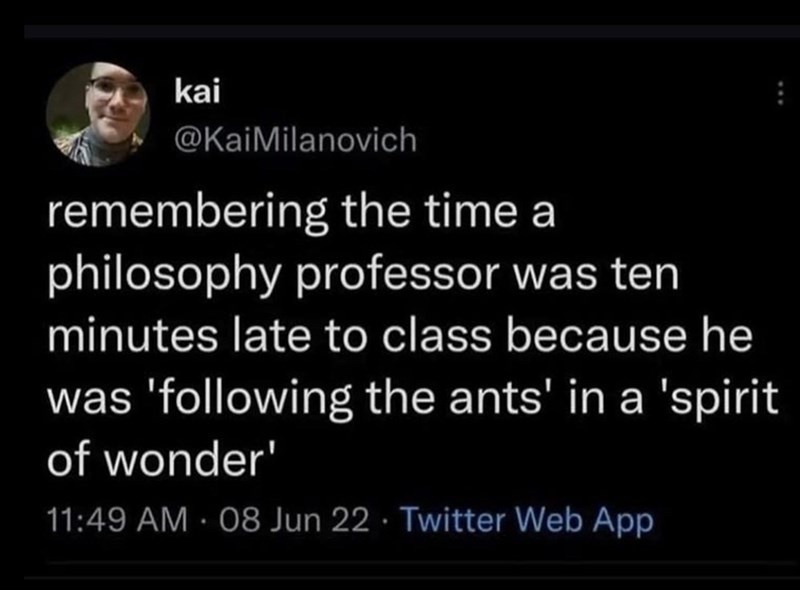 Philosophy prof followed ants and missed class - meme
