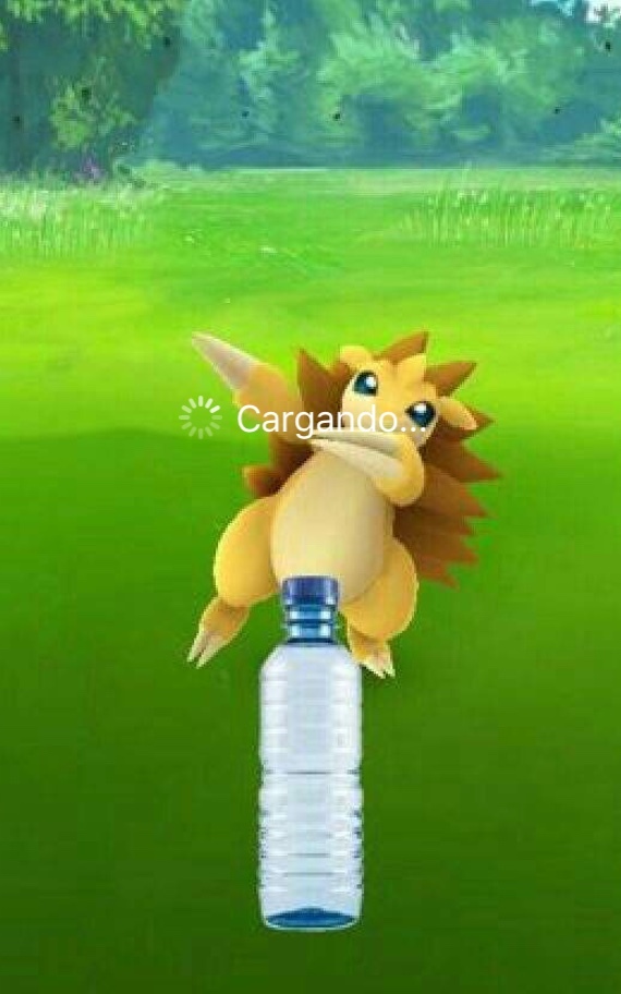 Bottle Challenge versión pokemon - meme