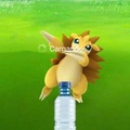 Bottle Challenge versión pokemon