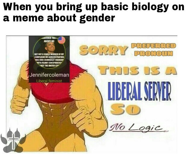 Liberal server - meme