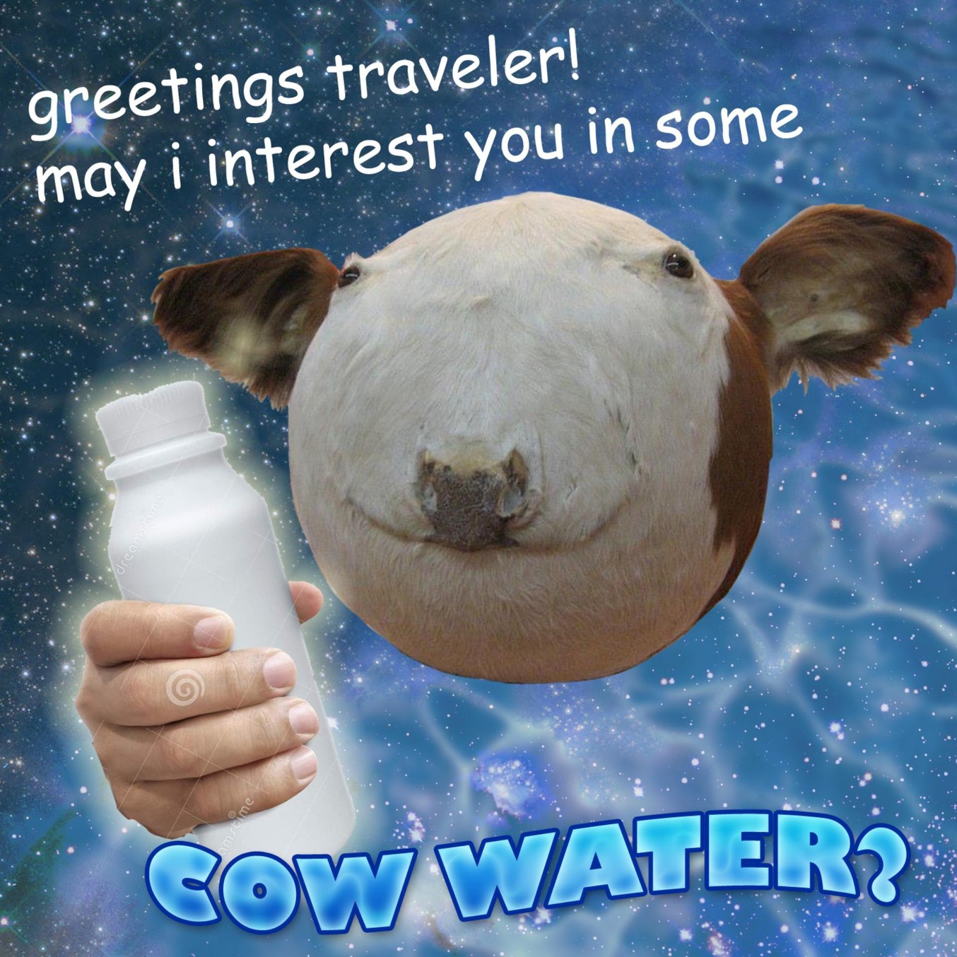 Coww - meme