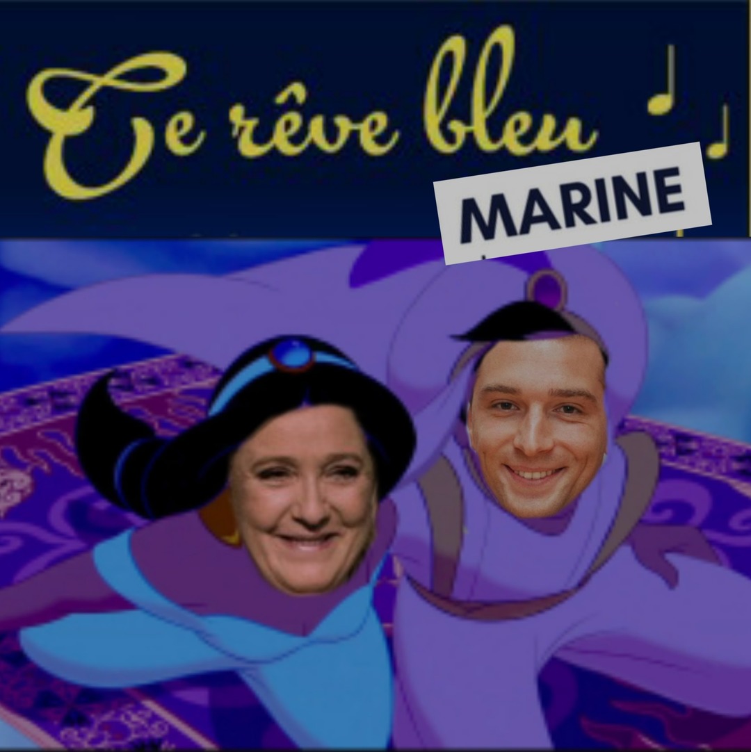 Ils sont Minions les tourtereaux, vous ne trouvez pas ? - meme