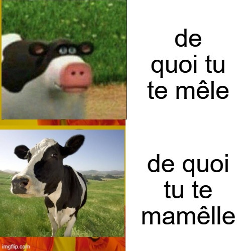 send mamelle - meme
