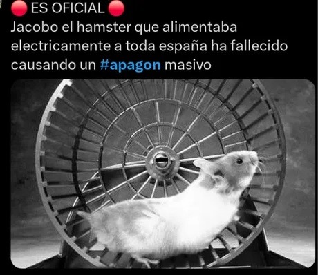 jacobo el hamster murió y dejó a españa en la oscuridad eterna - meme